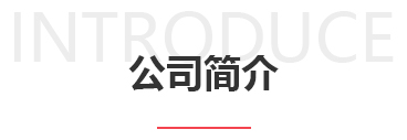 電子皮帶秤廠(chǎng)家簡(jiǎn)介